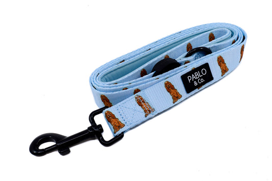 Cocker Spaniel: Dog Leash