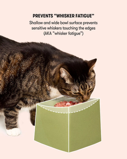 CAT Corner Bowl Set -  Olive