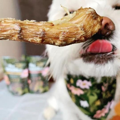 Pet Botanica: Crunchy Chook Necks Dog Treats