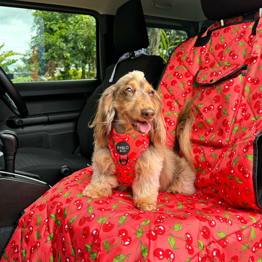 Cherry: Deluxe Single Car Seat Cover