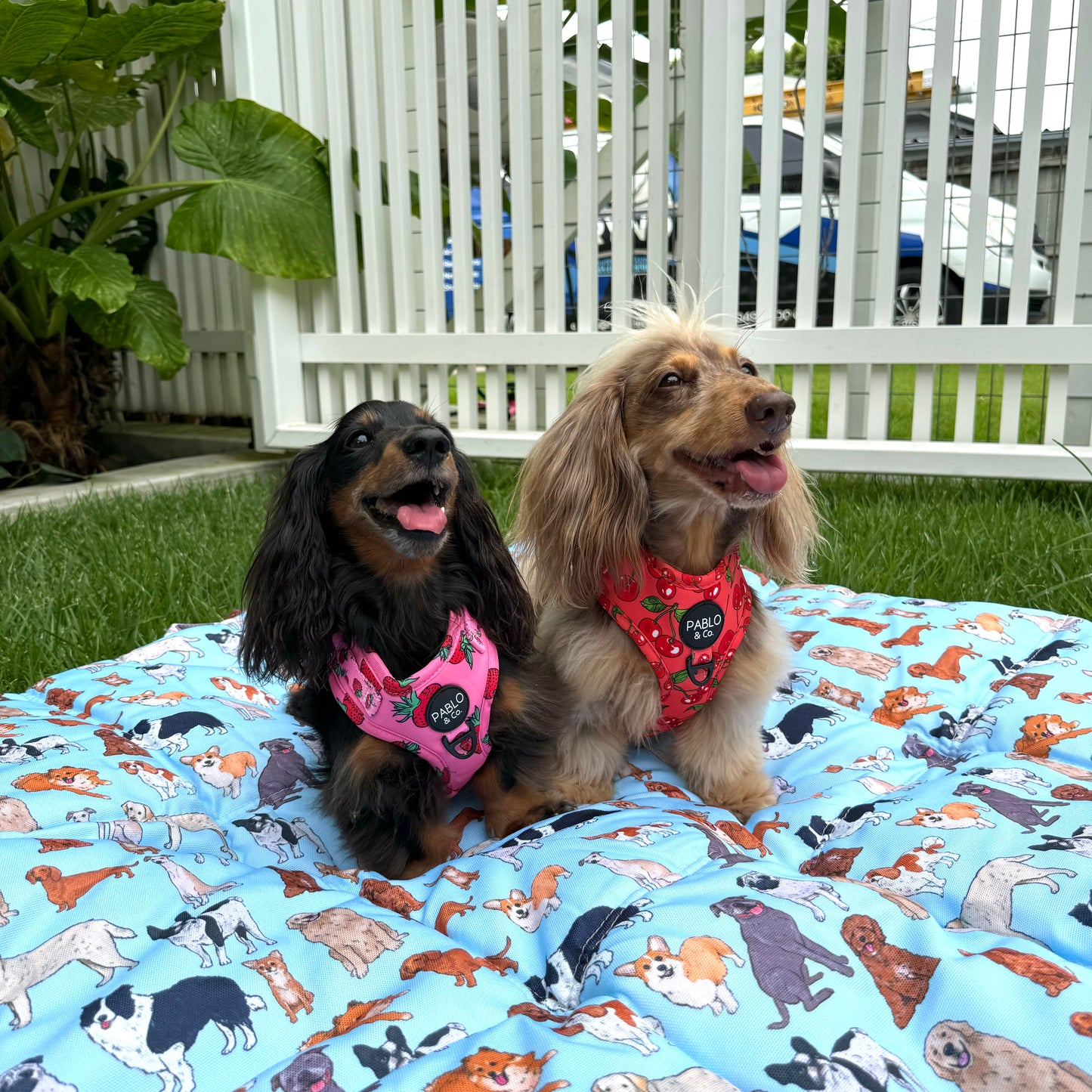 Deluxe Travel Mat: Doggos Pink / Doggos Blue