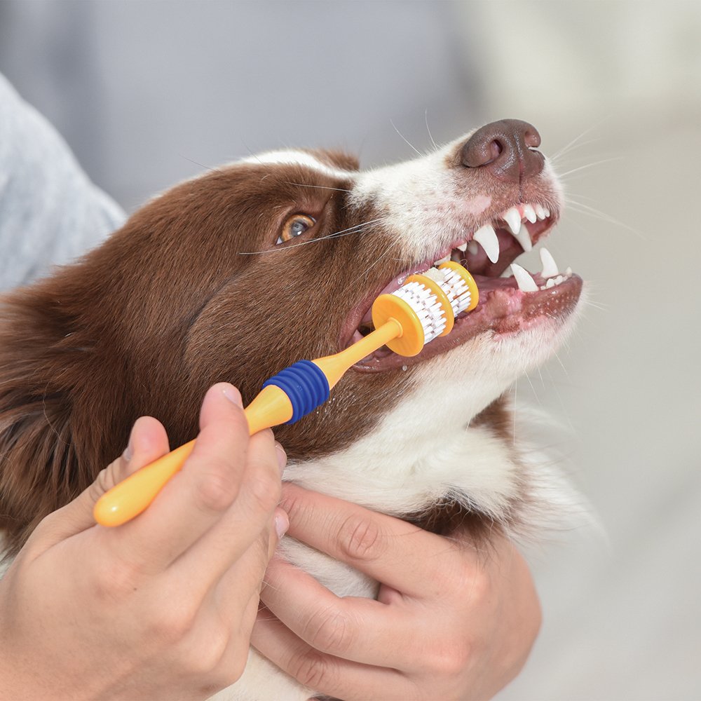 Arm & Hammer: 360 Degree Dog Toothbrush