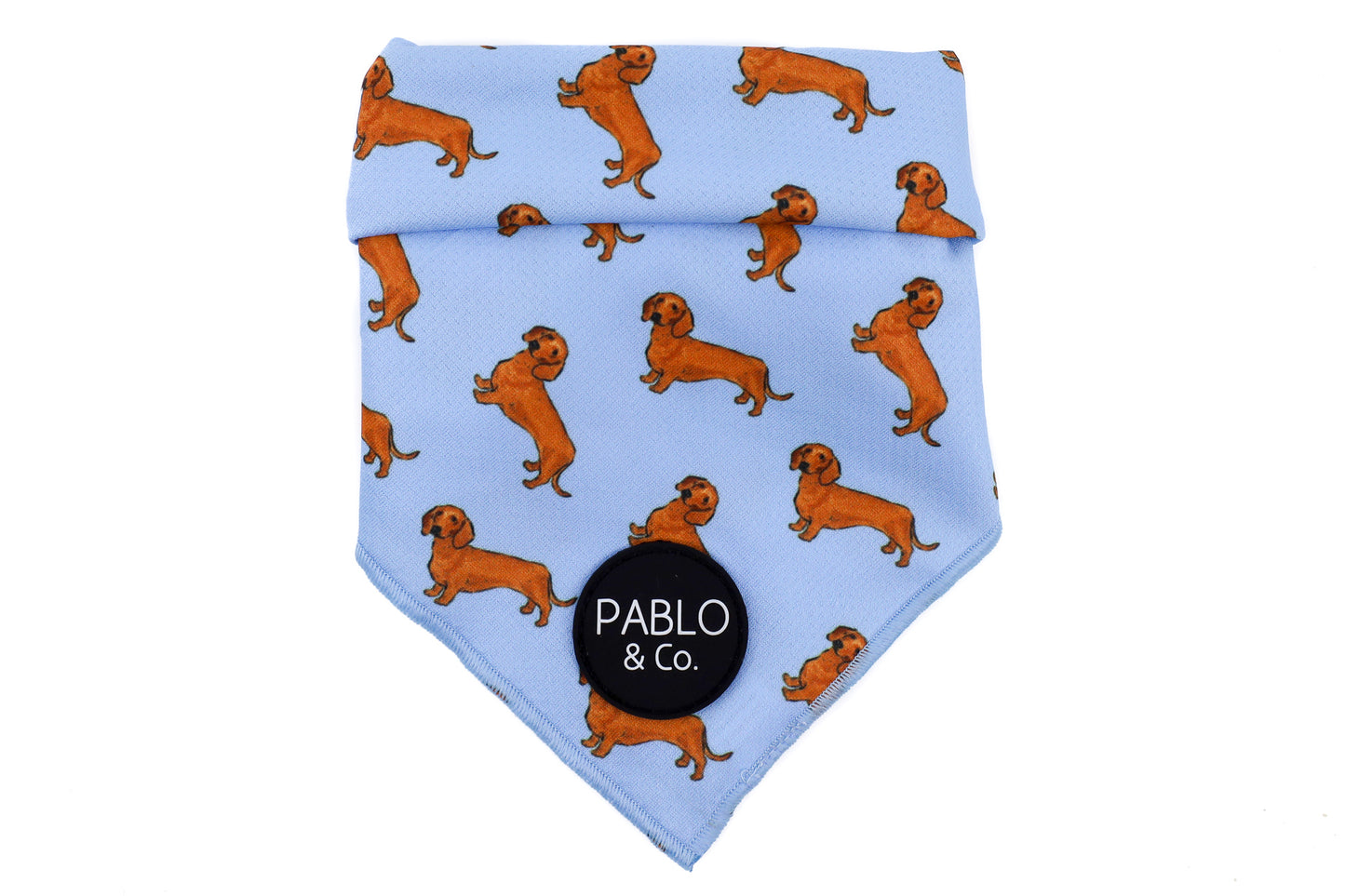 Dachshund - Dog Bandana