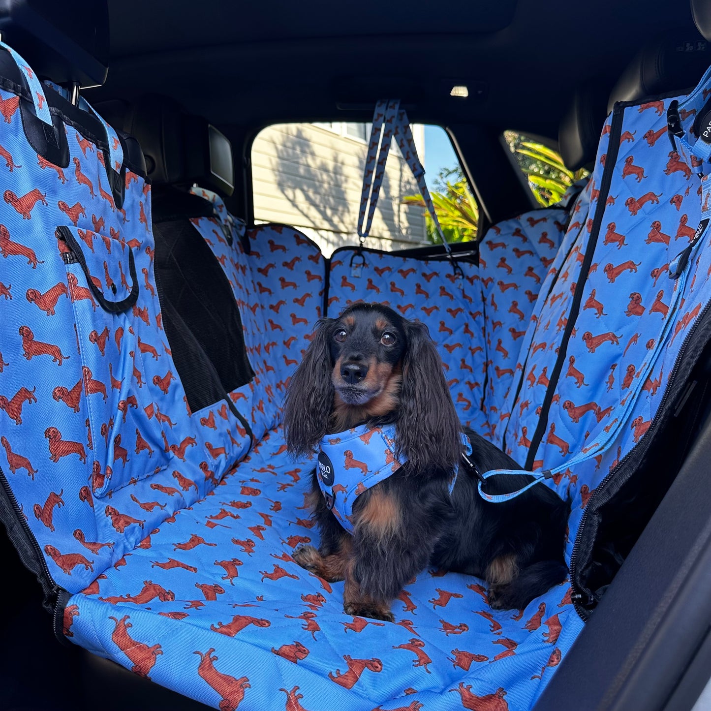 Dachshund: Deluxe Hammock Car Seat Cover