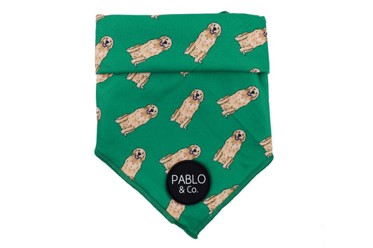 Golden Retriever - Dog Bandana