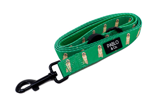 Golden Retriever: Dog Leash