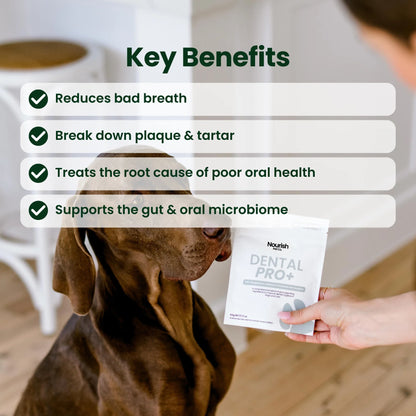 Pet Drs: Dental Pro+