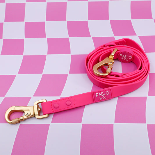 Dragonfruit: Multi-Functional Waterproof Leash