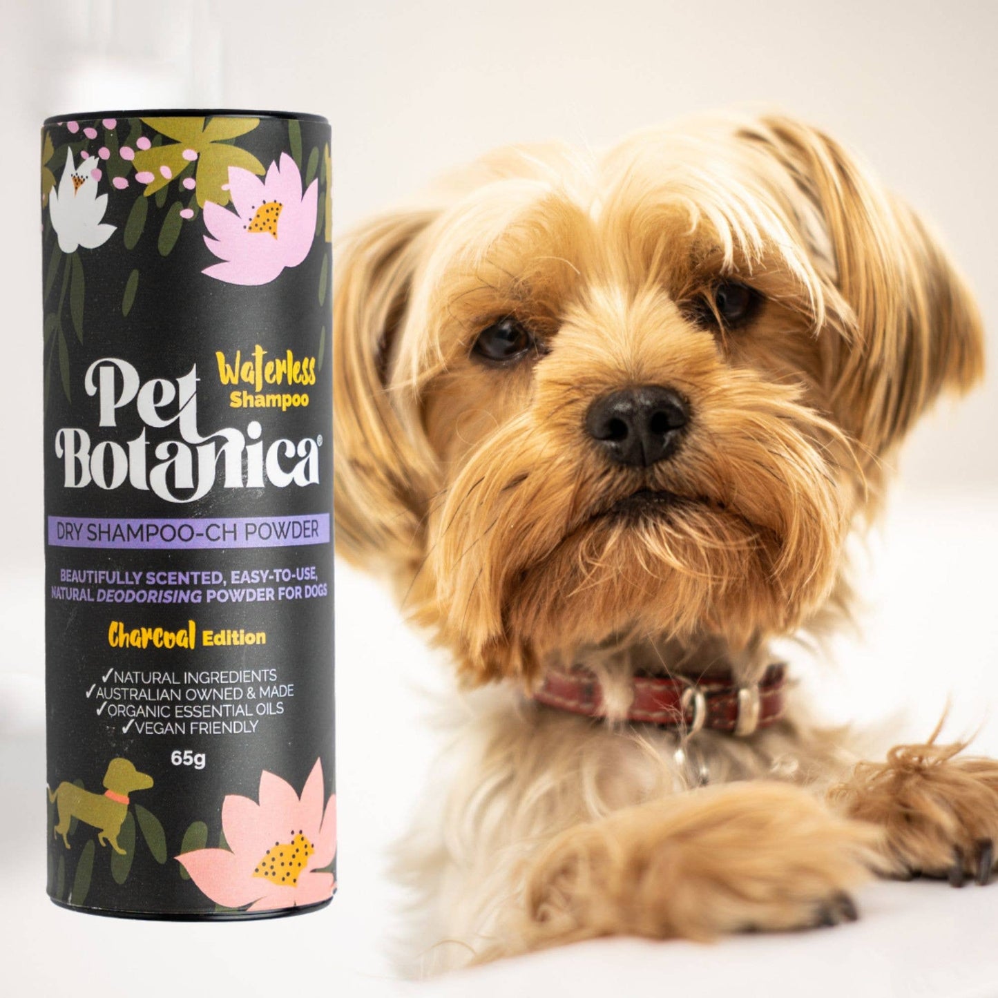 Dry Shampoo for Dogs - with Charcoal