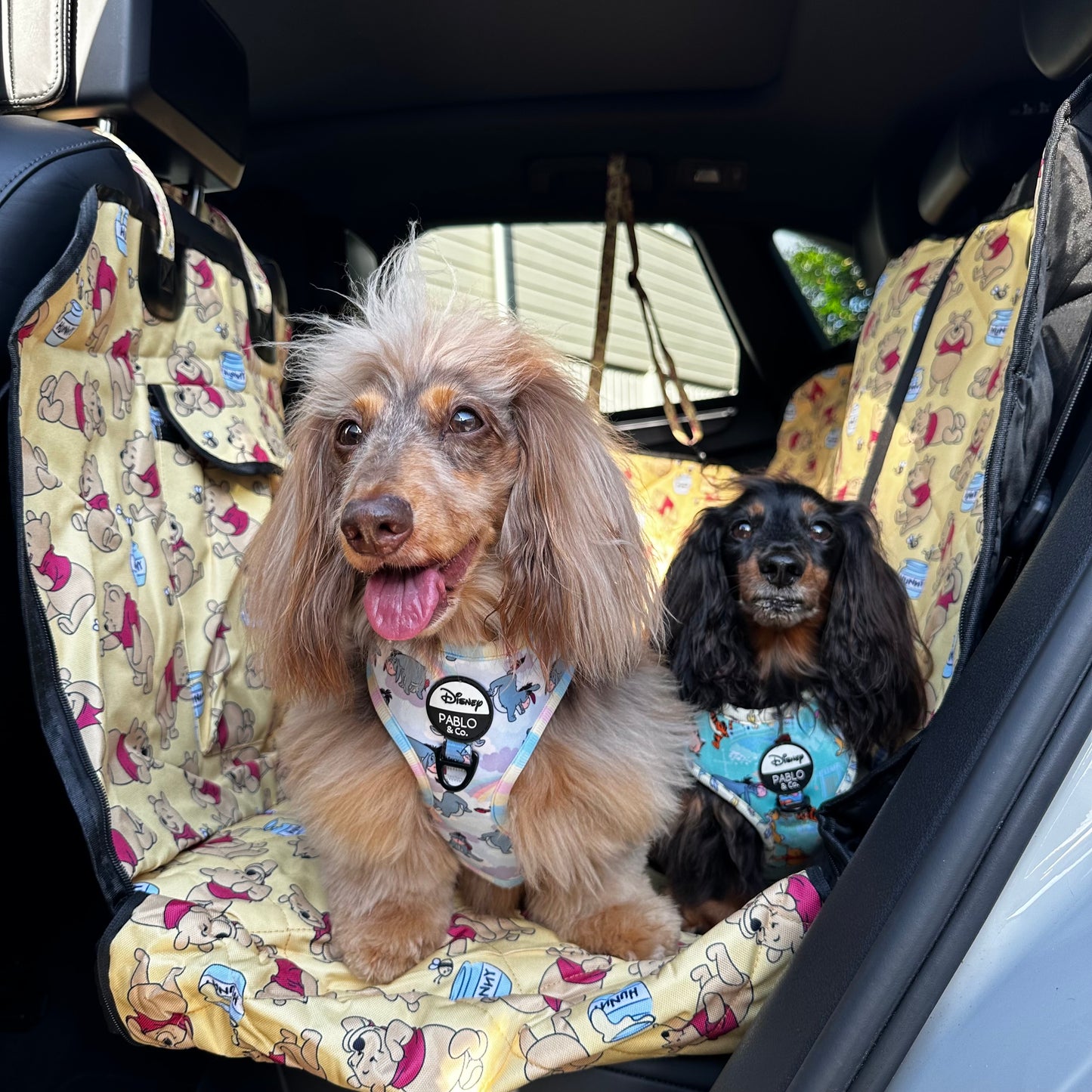 Winnie the Pooh & Bee's: Deluxe Hammock Car Seat Cover