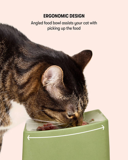 CAT Corner Bowl Set -  Olive