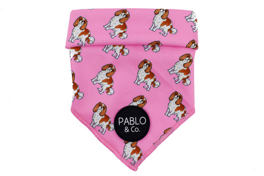 Cavalier King Charles - Dog Bandana