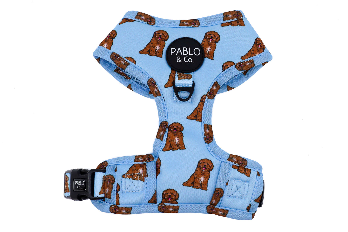 Cavoodle: Adjustable Harness