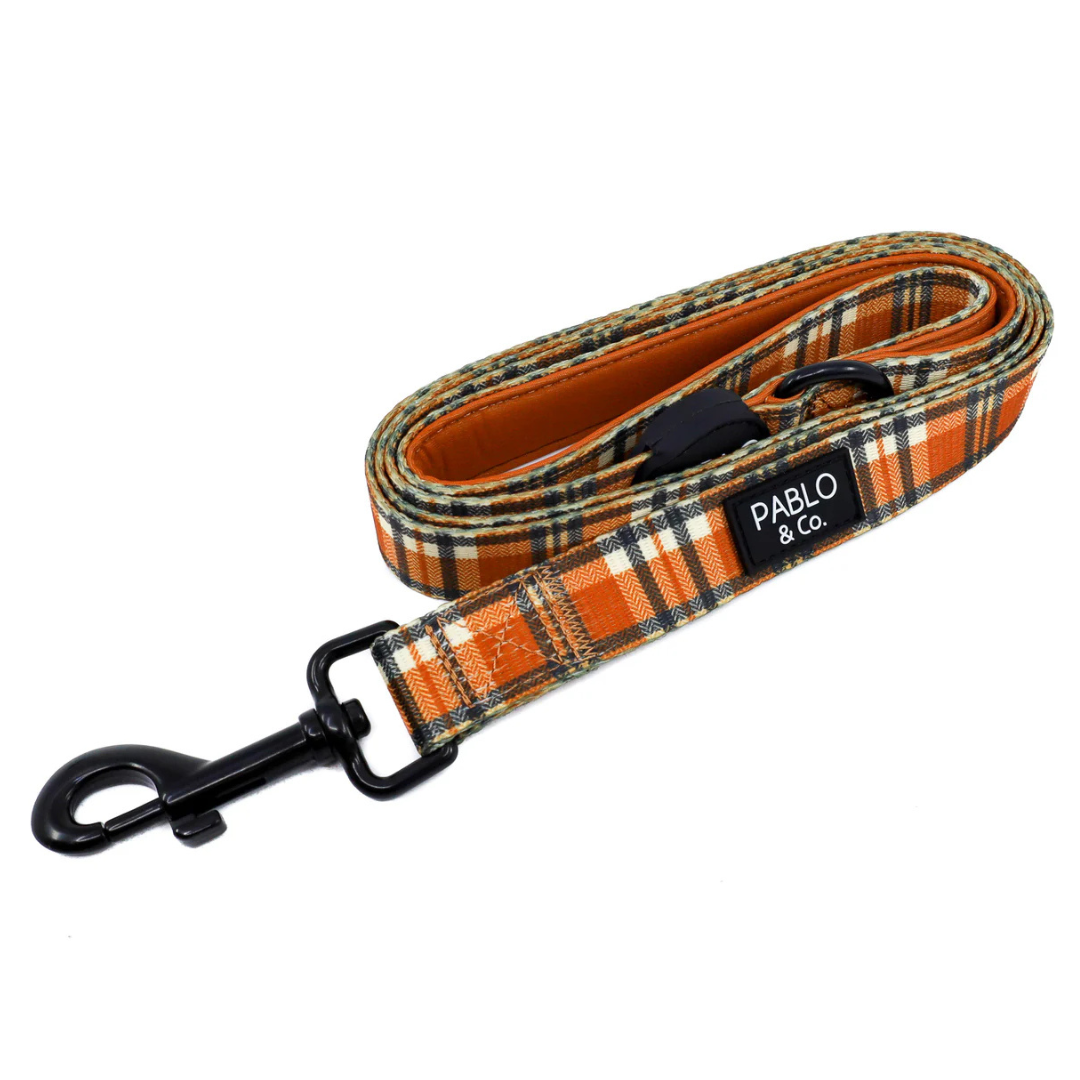 Vintage Plaid: Dog Leash