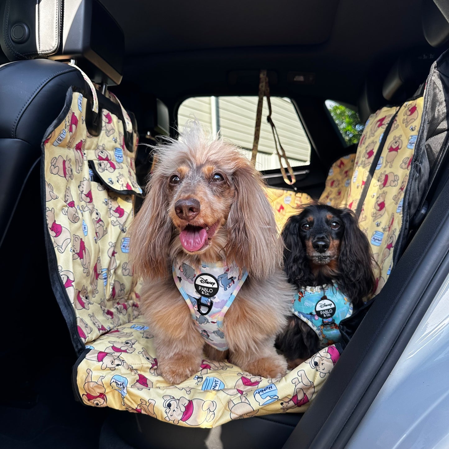 Winnie the Pooh & Bee's: Deluxe Hammock Car Seat Cover