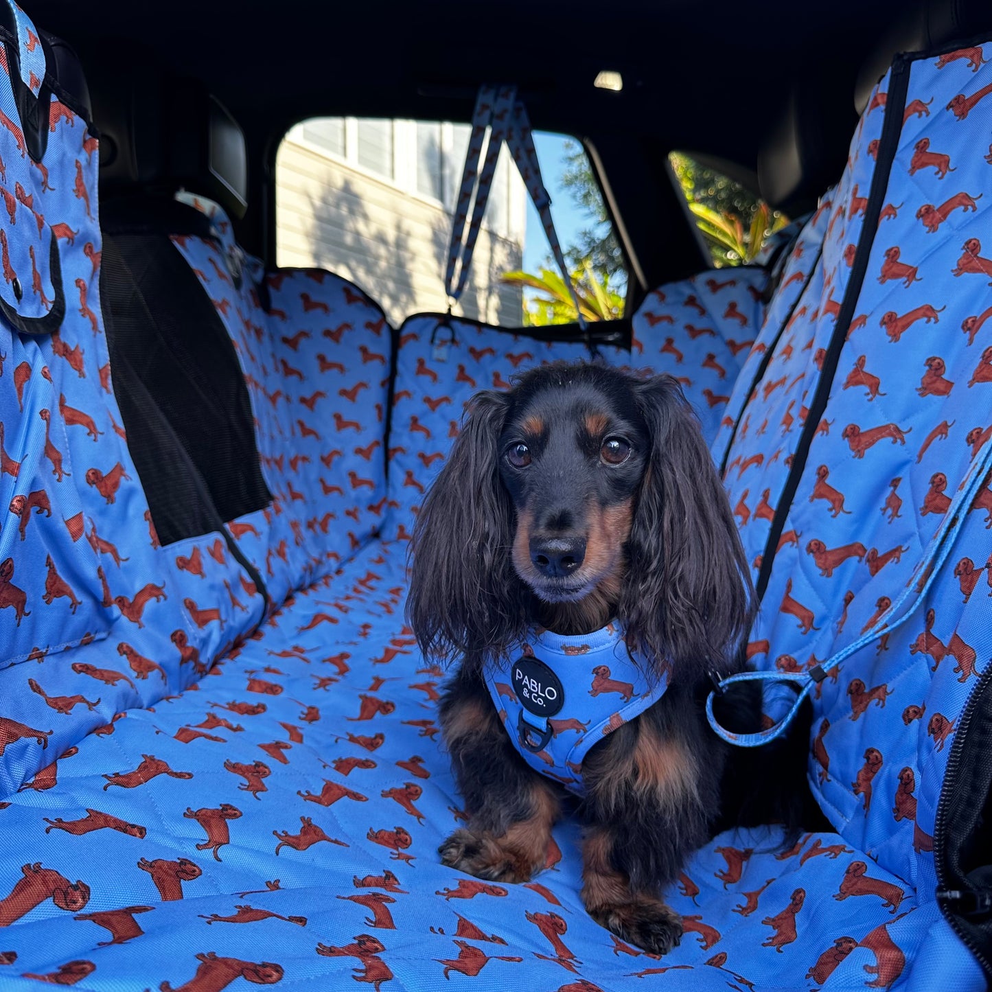 Dachshund: Deluxe Hammock Car Seat Cover