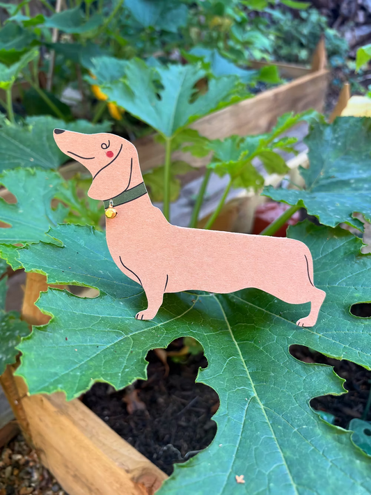 Standing Dachshund with Bell: Greeting Card
