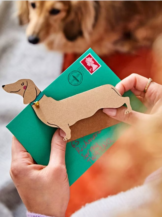Standing Dachshund with Bell: Greeting Card