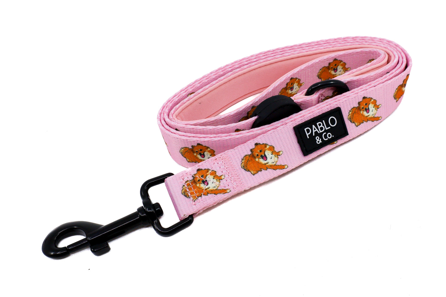 Pomeranian: Dog Leash