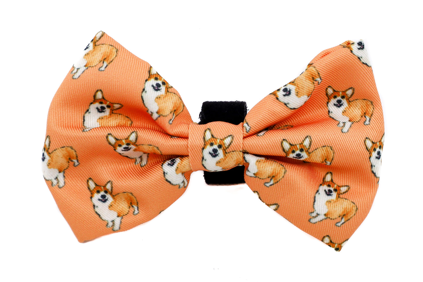 Corgi: Bow Tie