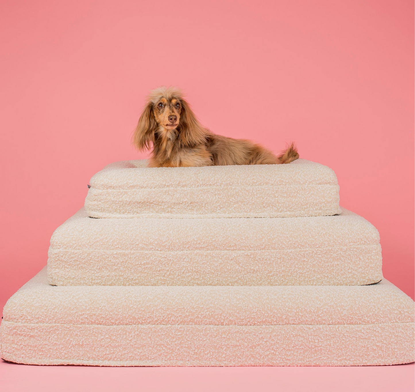 Orthopedic Memory Foam Boucle Dog Bed: Cloud