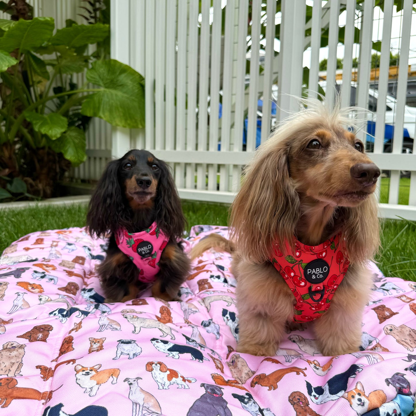 Deluxe Travel Mat: Doggos Pink / Doggos Blue