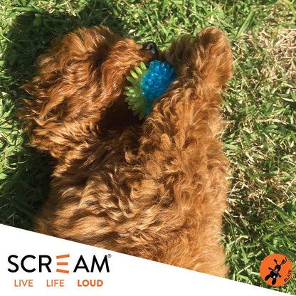 Scream Galaxy Ball: Small