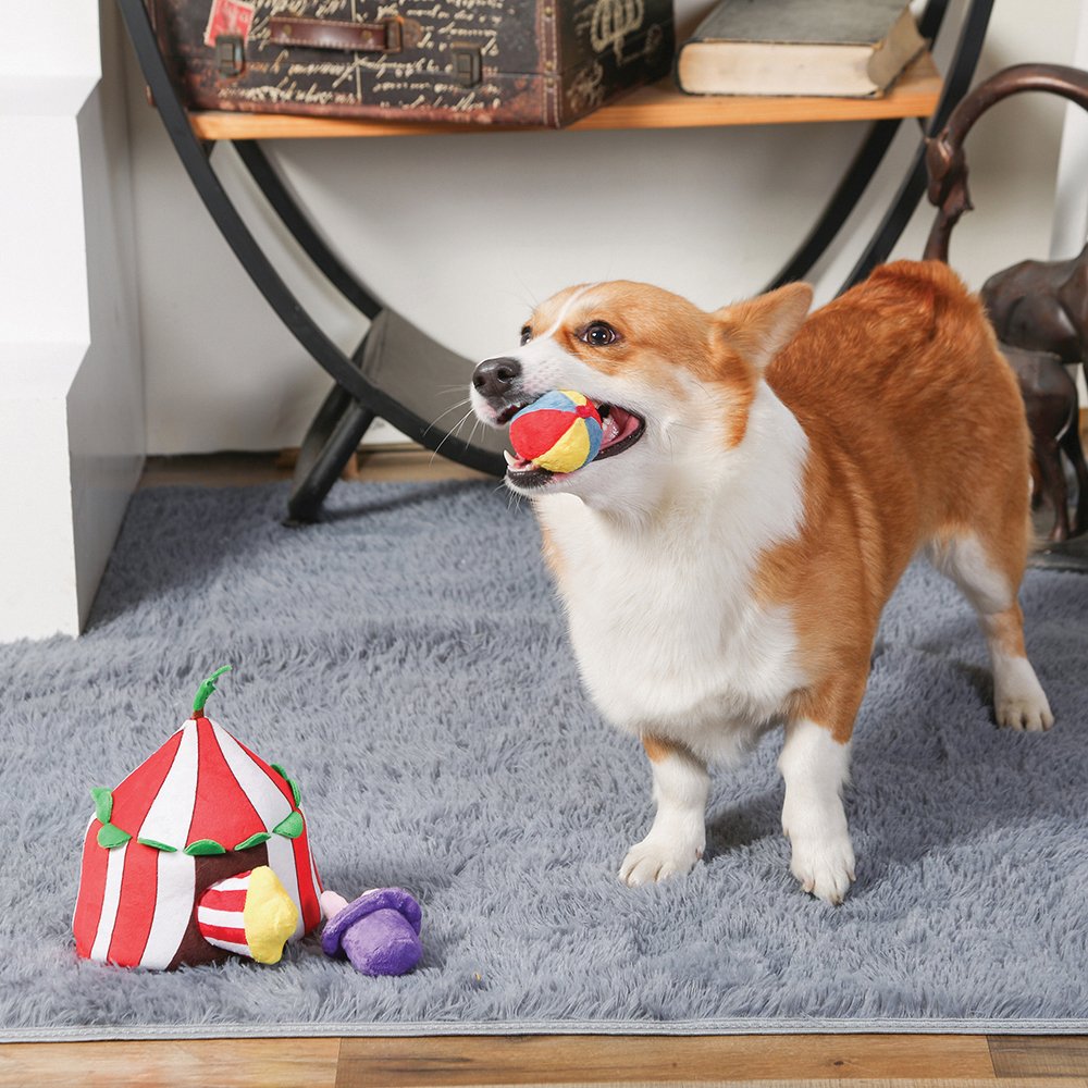 Happy Circus Burrow Toy