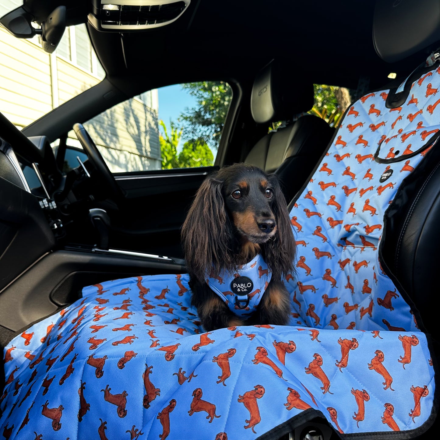 Dachshund: Deluxe Single Car Seat Cover