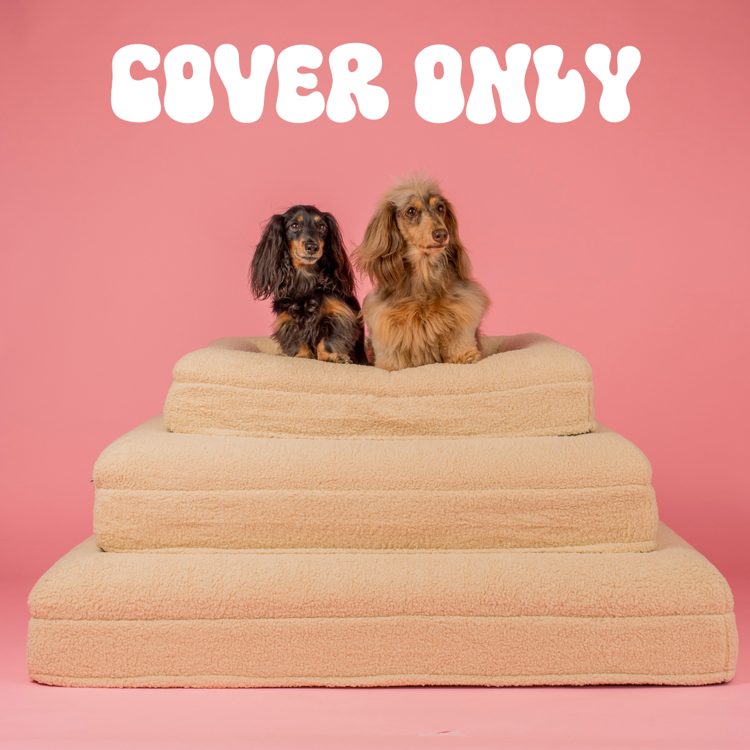 Teddy Dog Bed Cover: Latte (cover only)