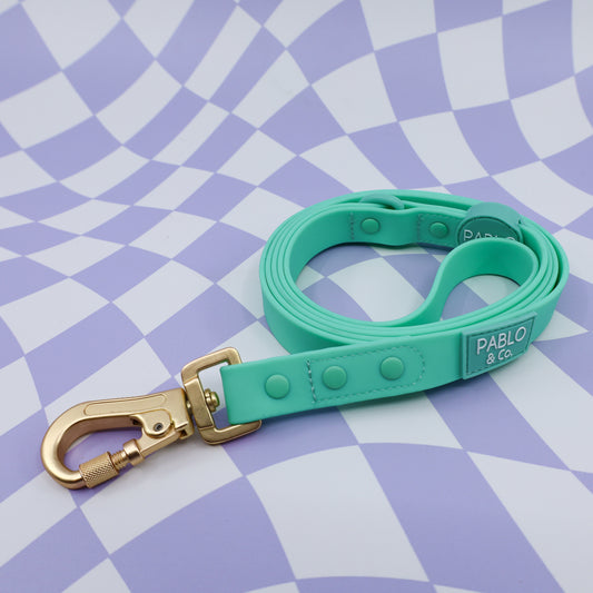 Peppermint: Waterproof Leash