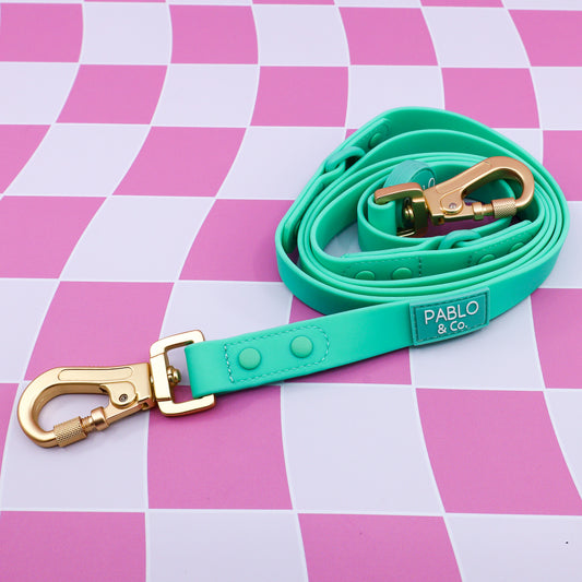 Peppermint: Multi-Functional Waterproof Leash