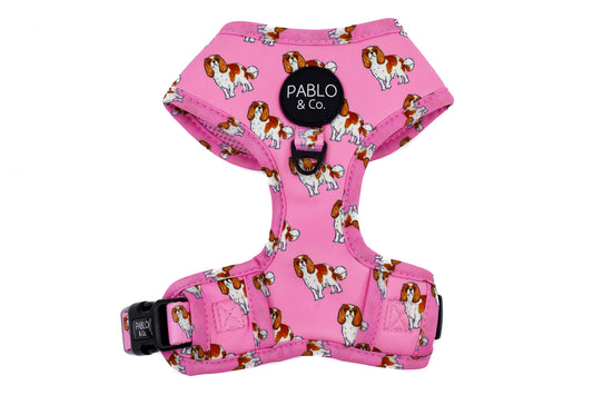 Cavalier King Charles: Adjustable Harness