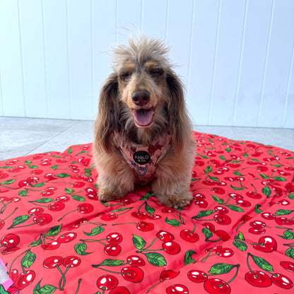 Deluxe Travel Mat: Strawberries / Cherry