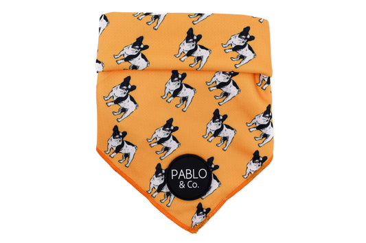 French Bulldog - Dog Bandana