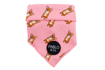 Chihuahua - Dog Bandana