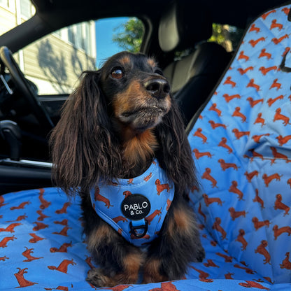 Dachshund: Deluxe Single Car Seat Cover