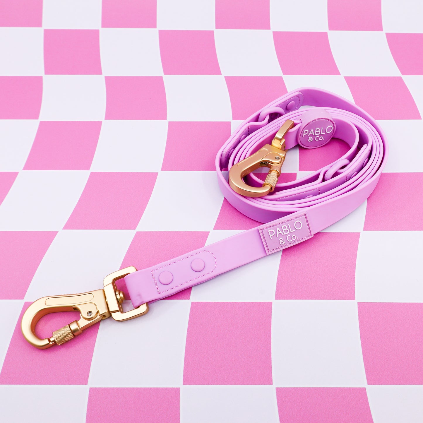 Lavender: Multi-Functional Waterproof Leash