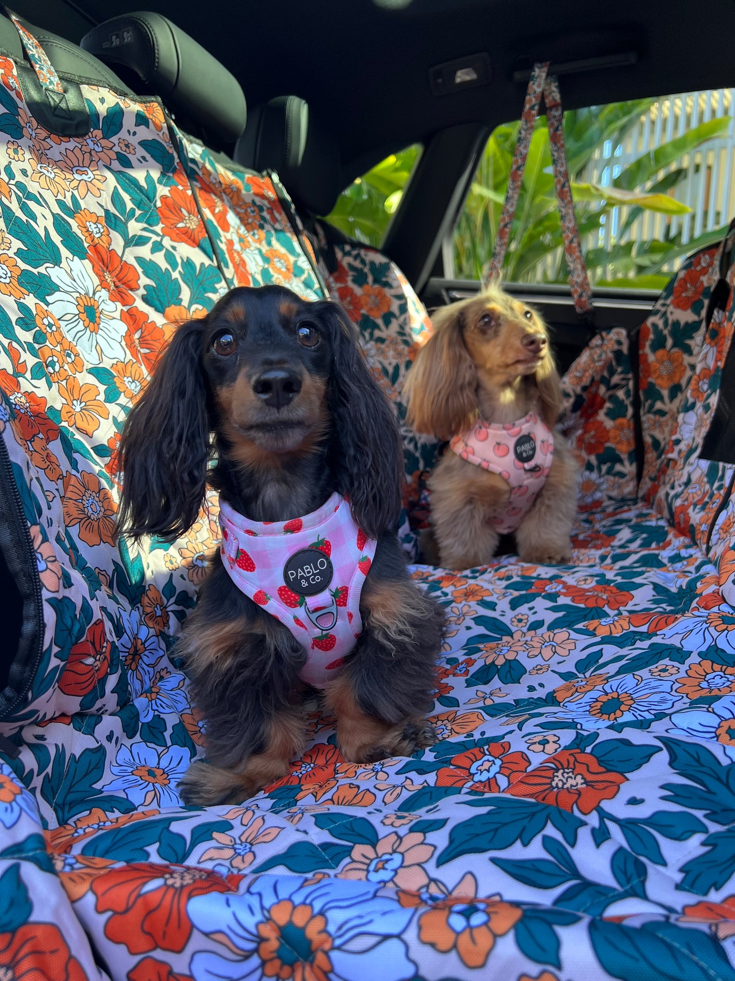 Wildflowers: Deluxe Hammock Car Seat Cover