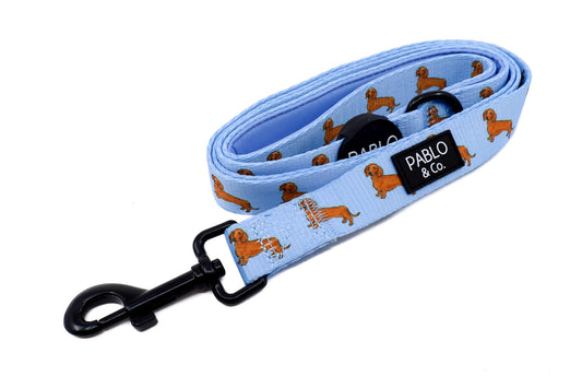 Dachshund: Dog Leash