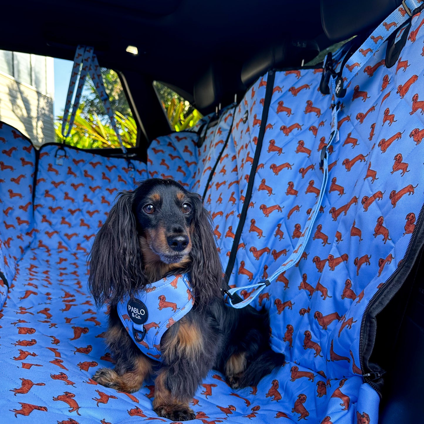 Dachshund: Headrest Car Restraint