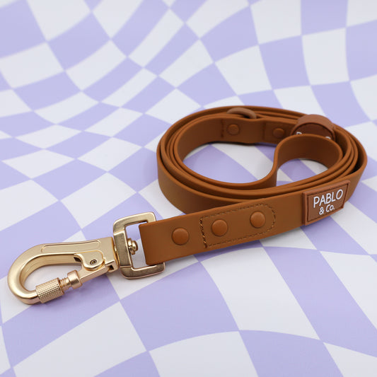 Fudge: Waterproof Leash