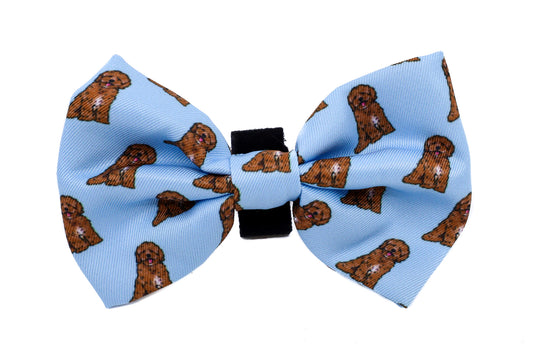 Cavoodle: Bow Tie