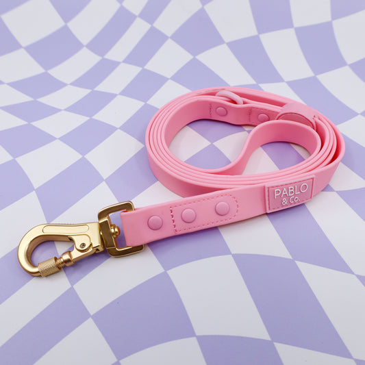 Bubblegum: Waterproof Leash