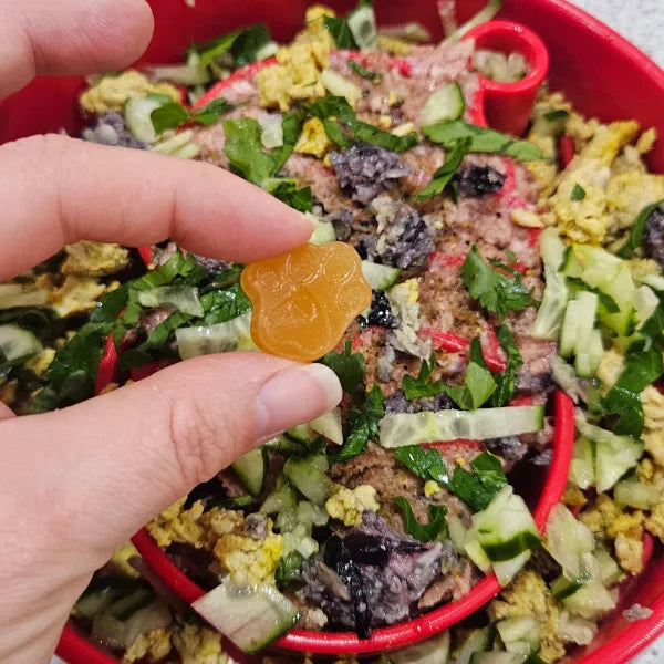 Pet Botanica: Omega Gummies - Sardine