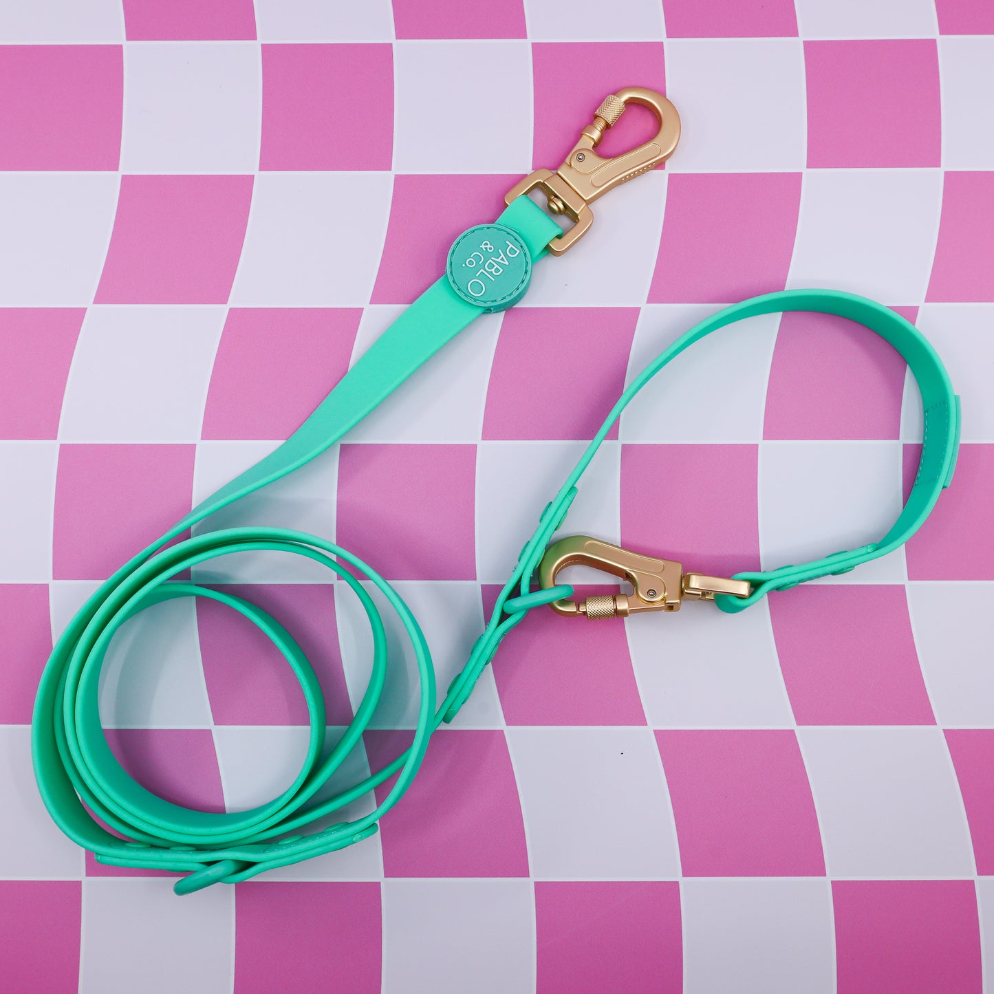 Peppermint: Multi-Functional Waterproof Leash