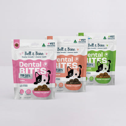 Adult Cat Dental Bites