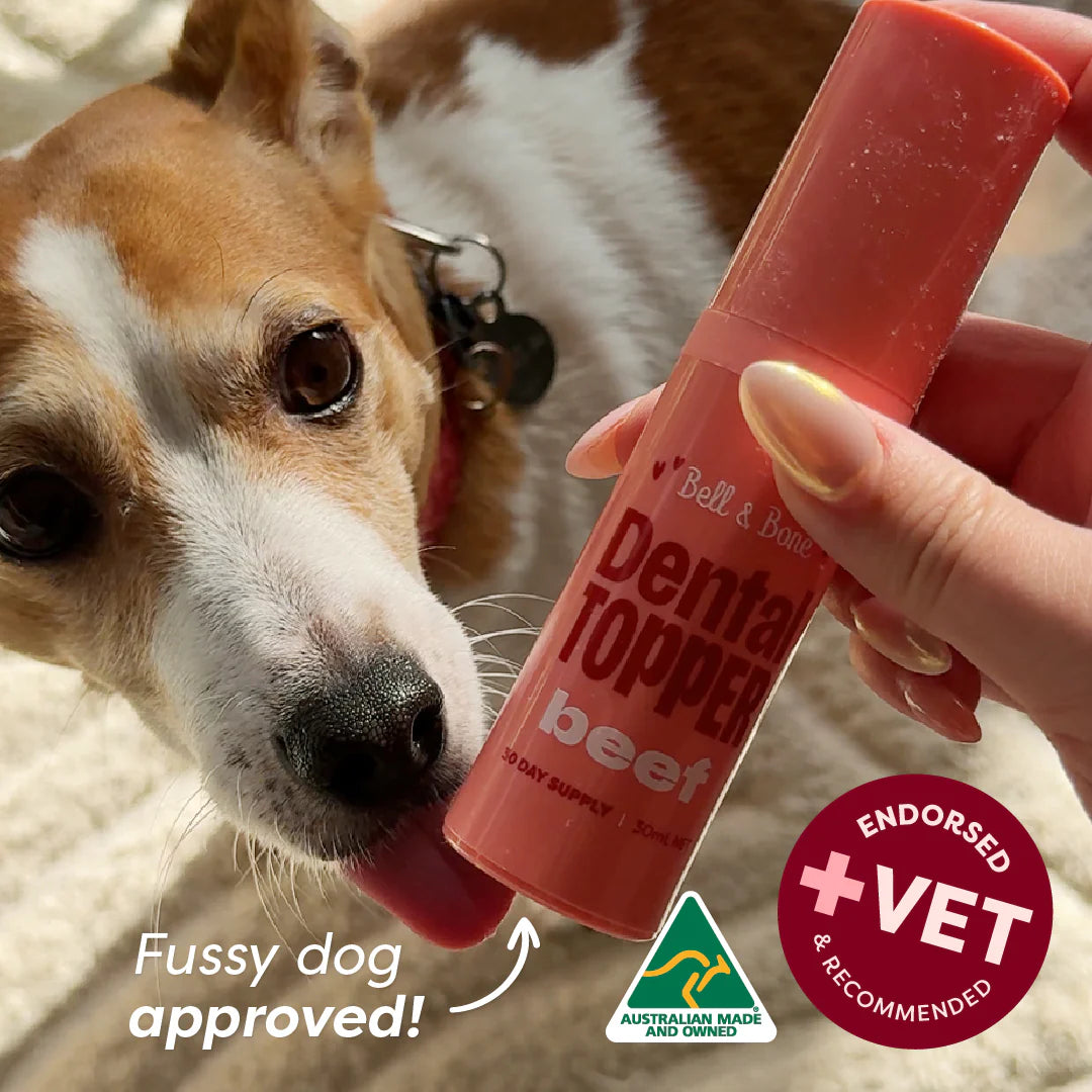 Bell & Bone Dog Dental Toppers