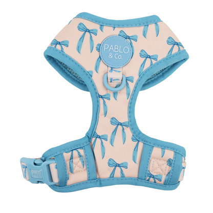 Baby Blue Bows: Adjustable Harness