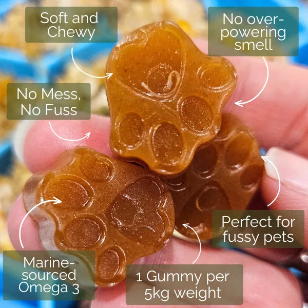 Pet Botanica: Omega Gummies - Sardine